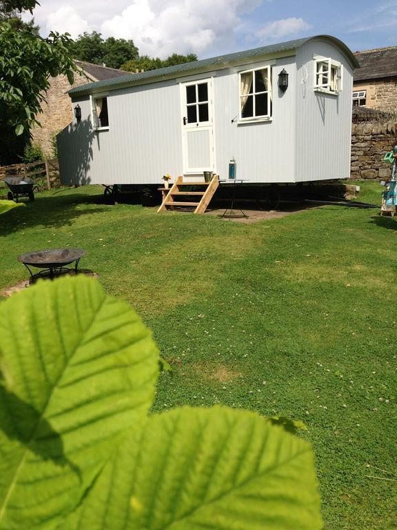 Posh Huts Farmstay Falstone Habitación foto